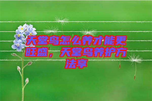 天堂鳥(niǎo)怎么養(yǎng)才能更旺盛，天堂鳥(niǎo)養(yǎng)護(hù)方法享