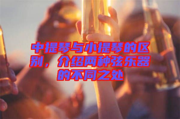 中提琴與小提琴的區(qū)別，介紹兩種弦樂器的不同之處