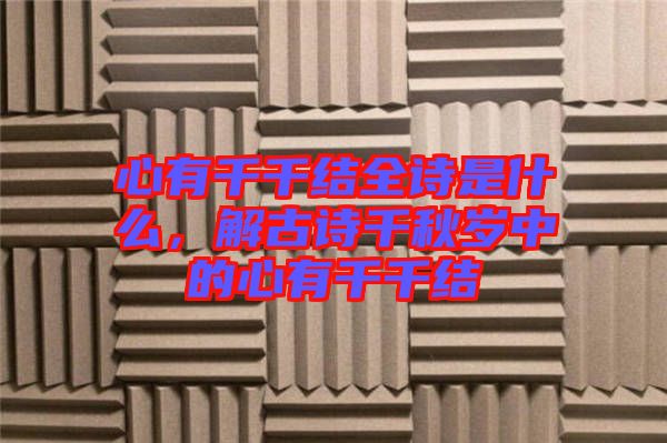 心有千千結(jié)全詩(shī)是什么，解古詩(shī)千秋歲中的心有千千結(jié)