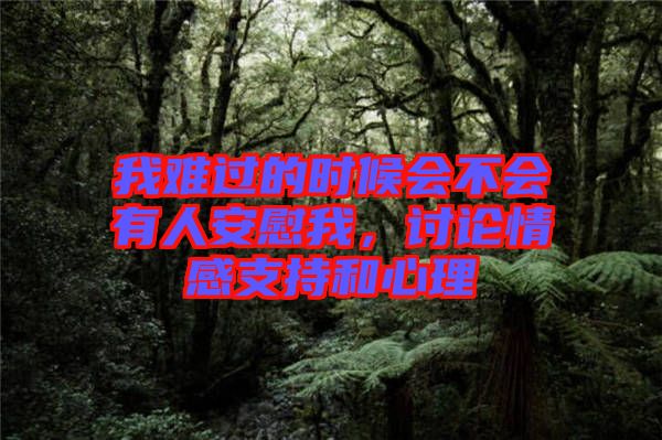 我難過(guò)的時(shí)候會(huì)不會(huì)有人安慰我，討論情感支持和心理