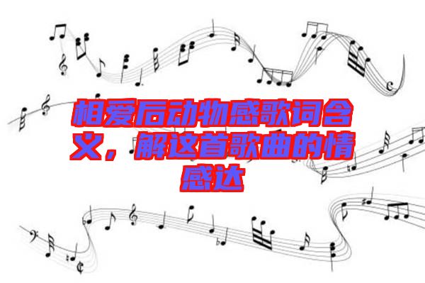 相愛后動(dòng)物感歌詞含義，解這首歌曲的情感達(dá)