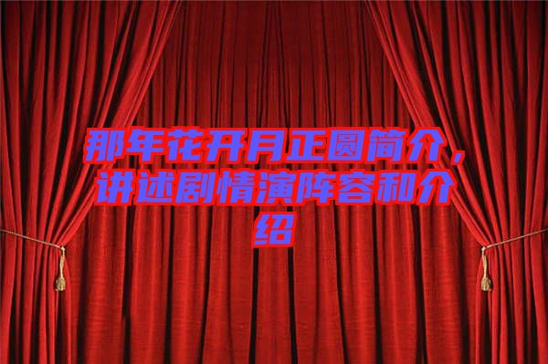 那年花開月正圓簡介，講述劇情演陣容和介紹