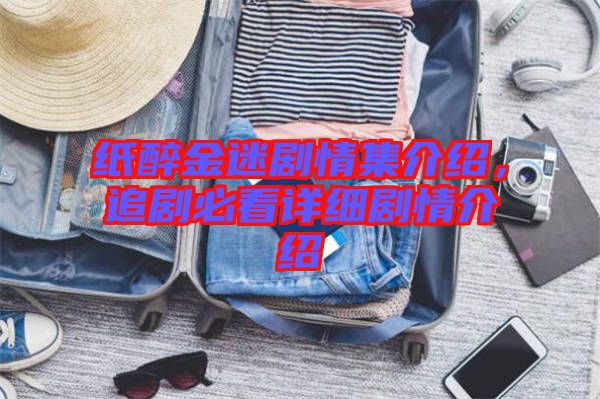 紙醉金迷劇情集介紹，追劇必看詳細劇情介紹