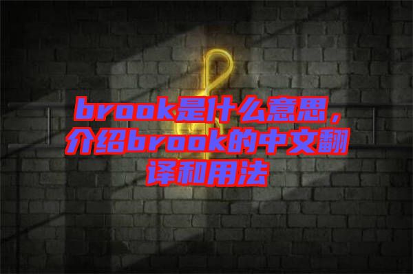 brook是什么意思，介紹brook的中文翻譯和用法