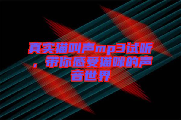 真實貓叫聲mp3試聽，帶你感受貓咪的聲音世界