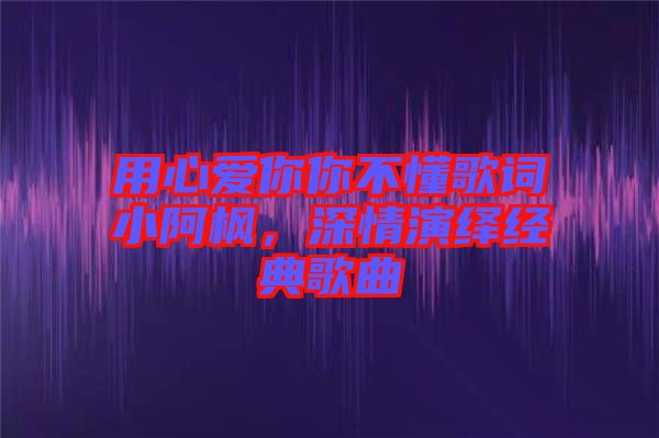 用心愛你你不懂歌詞小阿楓，深情演繹經(jīng)典歌曲