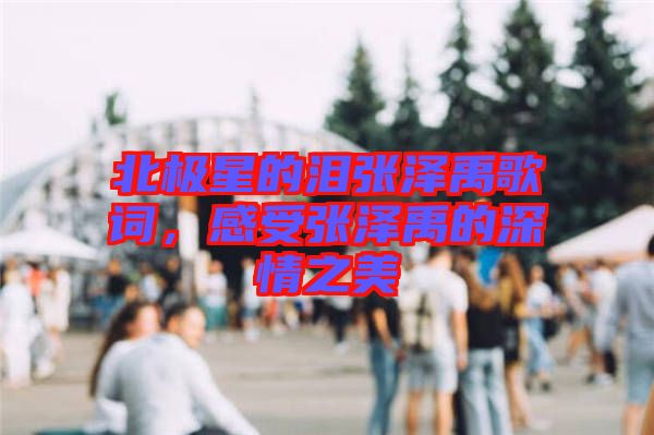 北極星的淚張澤禹歌詞，感受張澤禹的深情之美