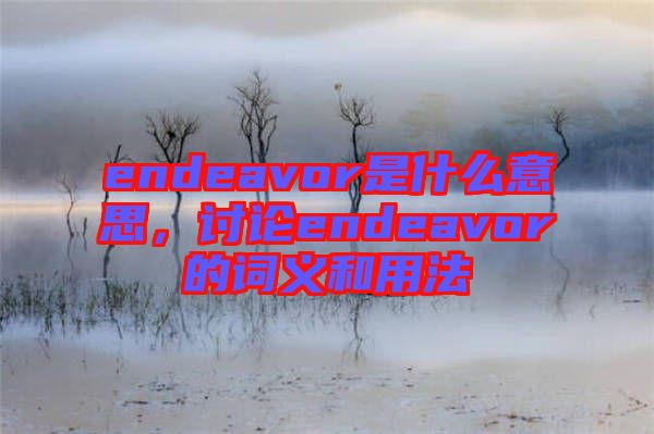 endeavor是什么意思，討論endeavor的詞義和用法