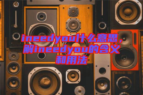 ineedyou什么意思，解ineedyou的含義和用法