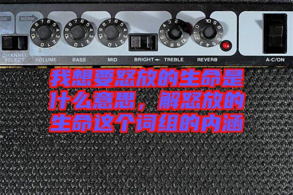 我想要怒放的生命是什么意思，解怒放的生命這個詞組的內(nèi)涵