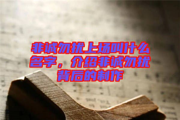 非誠勿擾上場(chǎng)叫什么名字，介紹非誠勿擾背后的制作