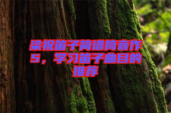 梁祝笛子簡譜筒音作5，學(xué)習(xí)笛子曲目的推薦