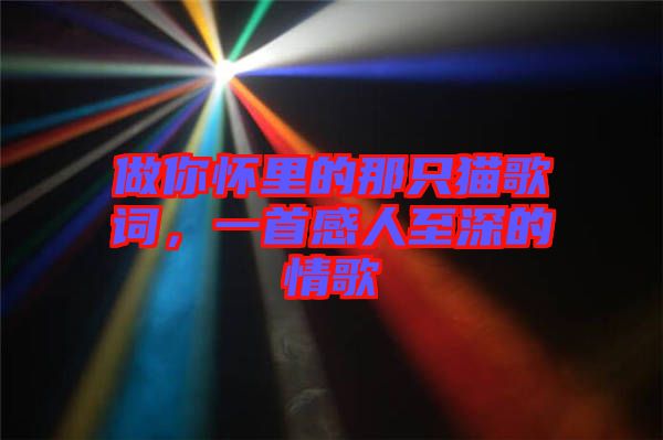 做你懷里的那只貓歌詞，一首感人至深的情歌