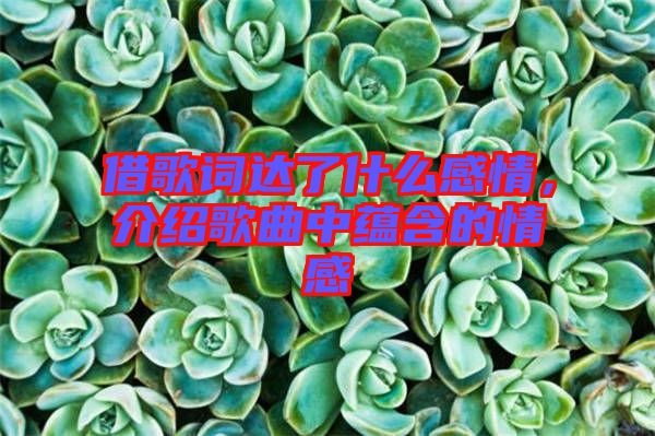 借歌詞達(dá)了什么感情，介紹歌曲中蘊(yùn)含的情感