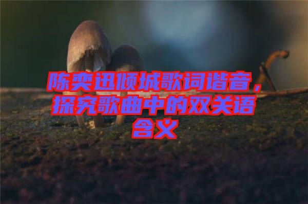 陳奕迅傾城歌詞諧音，探究歌曲中的雙關(guān)語(yǔ)含義