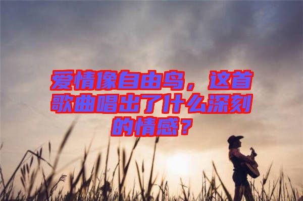 愛(ài)情像自由鳥，這首歌曲唱出了什么深刻的情感？