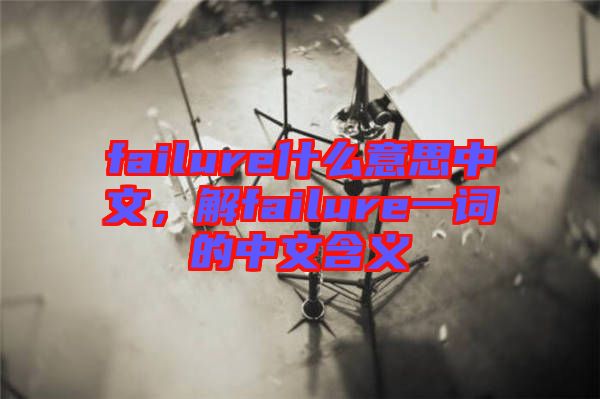 failure什么意思中文，解failure一詞的中文含義