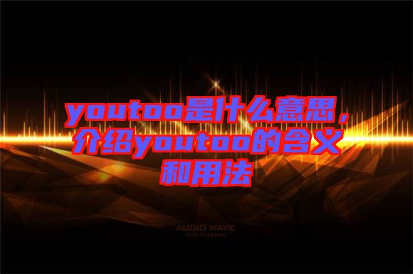 youtoo是什么意思，介紹youtoo的含義和用法