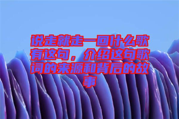 說走就走一回什么歌有這句，介紹這句歌詞的來源和背后的故事