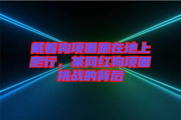 戴著狗項圈跪在地上爬行，某網紅狗項圈挑戰(zhàn)的背后