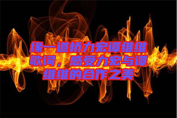 緣一道橋力宏譚維維歌詞，感受力宏與譚維維的合作之美