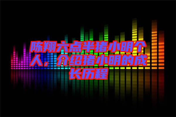 陳翔六點半豬小明個人，介紹豬小明的成長歷程