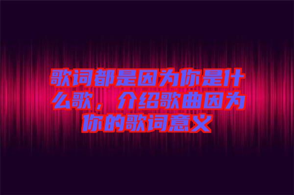 歌詞都是因為你是什么歌，介紹歌曲因為你的歌詞意義