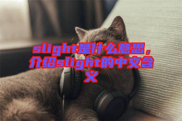 slight是什么意思，介紹slight的中文含義