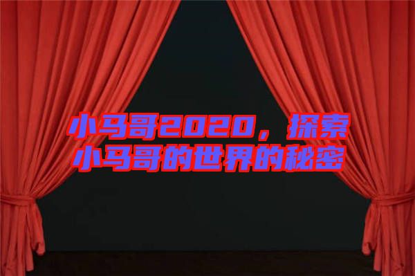 小馬哥2020，探索小馬哥的世界的秘密