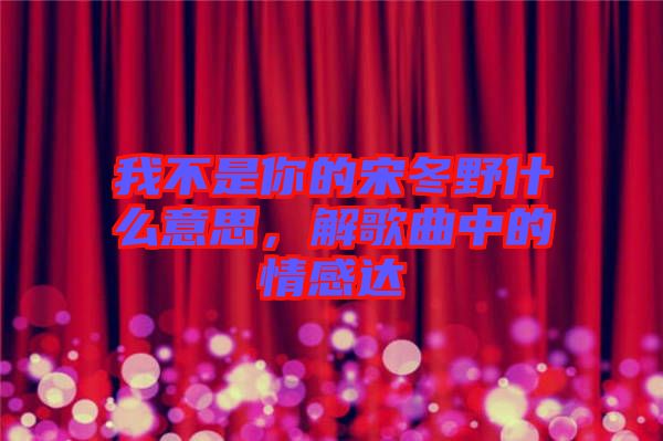 我不是你的宋冬野什么意思，解歌曲中的情感達