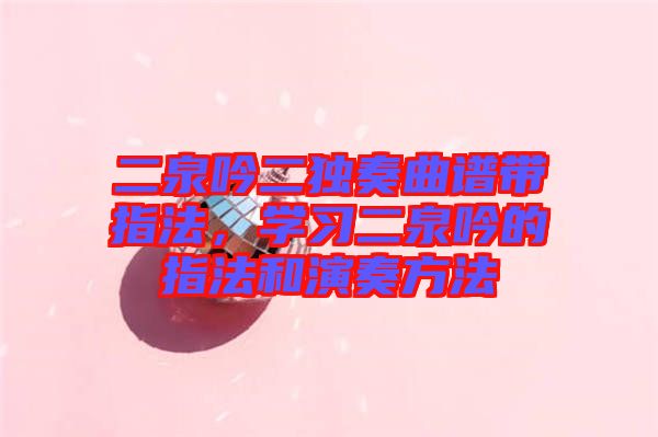 二泉吟二獨(dú)奏曲譜帶指法，學(xué)習(xí)二泉吟的指法和演奏方法