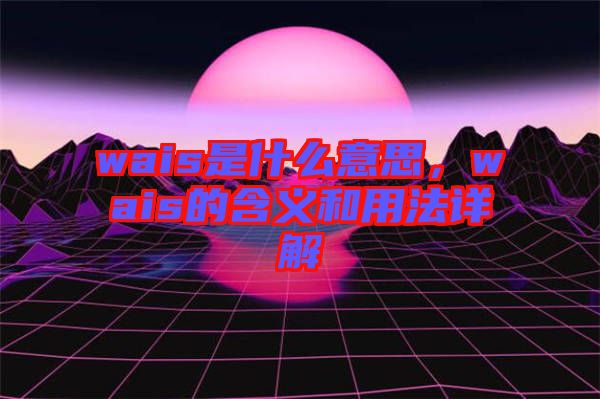 wais是什么意思，wais的含義和用法詳解