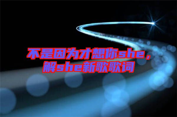 不是因?yàn)椴畔肽鉺he，解she新歌歌詞