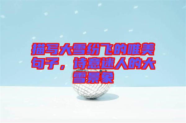 描寫大雪紛飛的唯美句子，詩(shī)意迷人的大雪景象