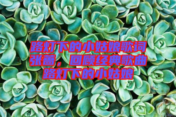 路燈下的小姑娘歌詞張薔，回顧經(jīng)典歌曲路燈下的小姑娘