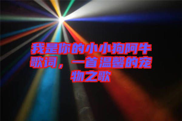 我是你的小小狗阿牛歌詞，一首溫馨的寵物之歌