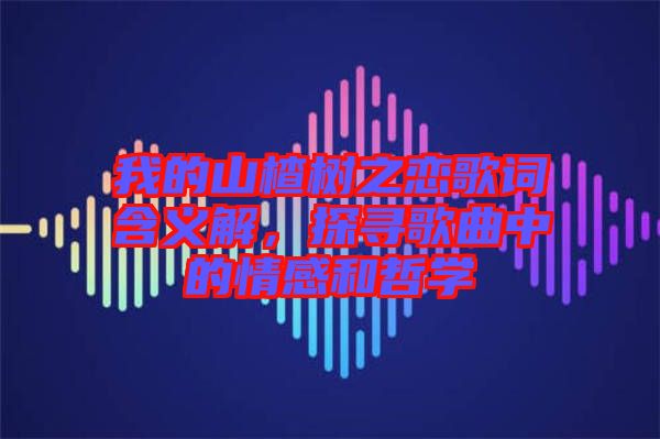 我的山楂樹之戀歌詞含義解，探尋歌曲中的情感和哲學(xué)