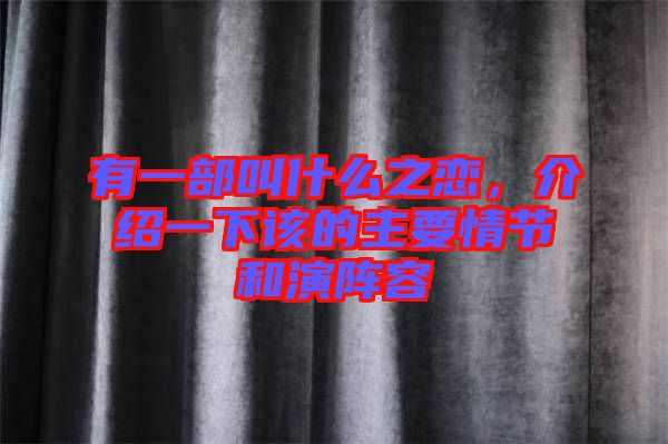 有一部叫什么之戀，介紹一下該的主要情節(jié)和演陣容