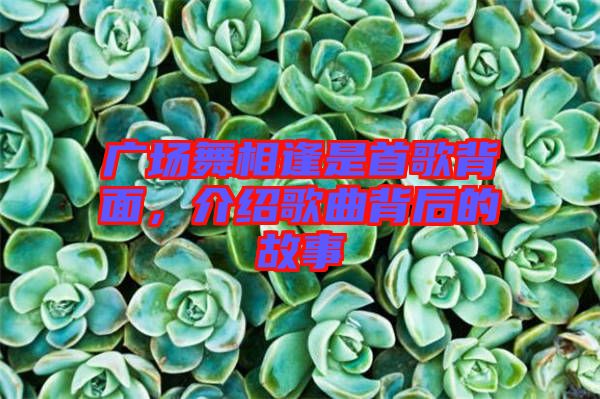 廣場(chǎng)舞相逢是首歌背面，介紹歌曲背后的故事