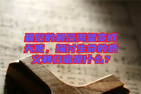 最后的最后渴望變成天使，探討生命的意義和歸宿是什么？