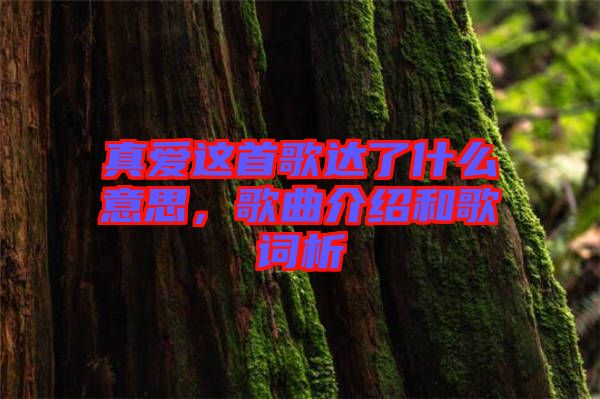 真愛這首歌達(dá)了什么意思，歌曲介紹和歌詞析