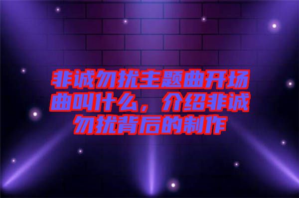 非誠(chéng)勿擾主題曲開(kāi)場(chǎng)曲叫什么，介紹非誠(chéng)勿擾背后的制作