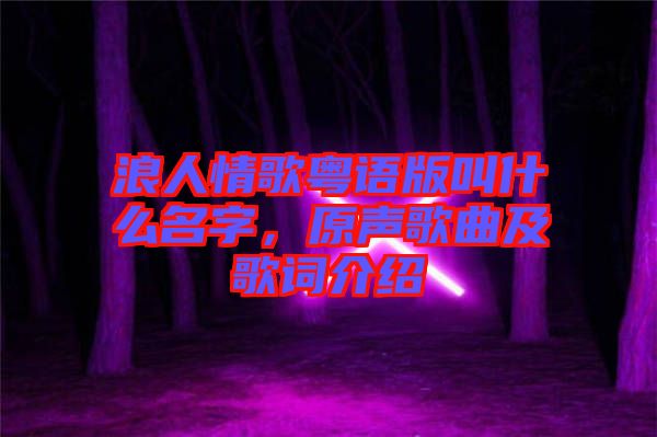 浪人情歌粵語版叫什么名字，原聲歌曲及歌詞介紹