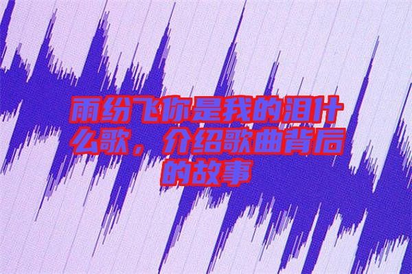 雨紛飛你是我的淚什么歌，介紹歌曲背后的故事