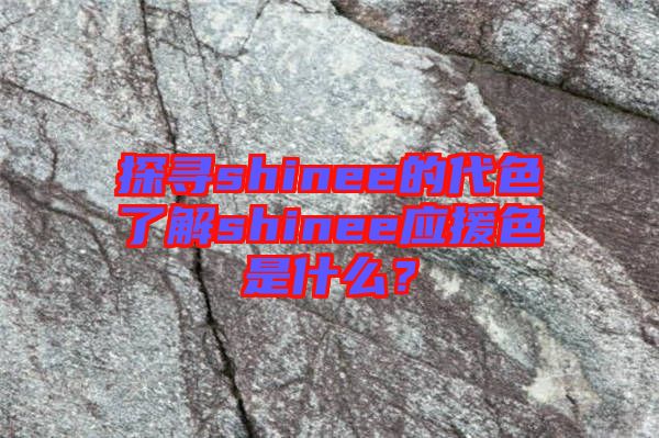 探尋shinee的代色了解shinee應(yīng)援色是什么？