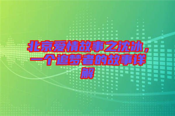 北京愛情故事之沈冰，一個追夢者的故事詳解