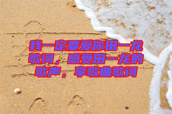 我一定要愛你田一龍歌詞，感受田一龍的歌聲，享歌曲歌詞