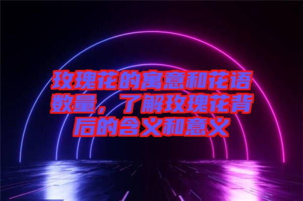 玫瑰花的寓意和花語數(shù)量，了解玫瑰花背后的含義和意義