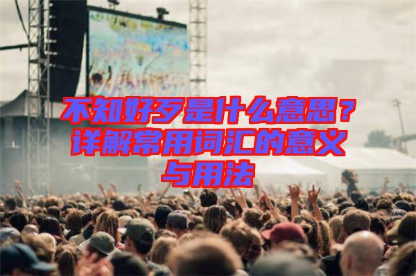 不知好歹是什么意思？詳解常用詞匯的意義與用法