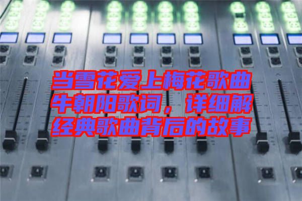 當(dāng)雪花愛上梅花歌曲牛朝陽歌詞，詳細(xì)解經(jīng)典歌曲背后的故事